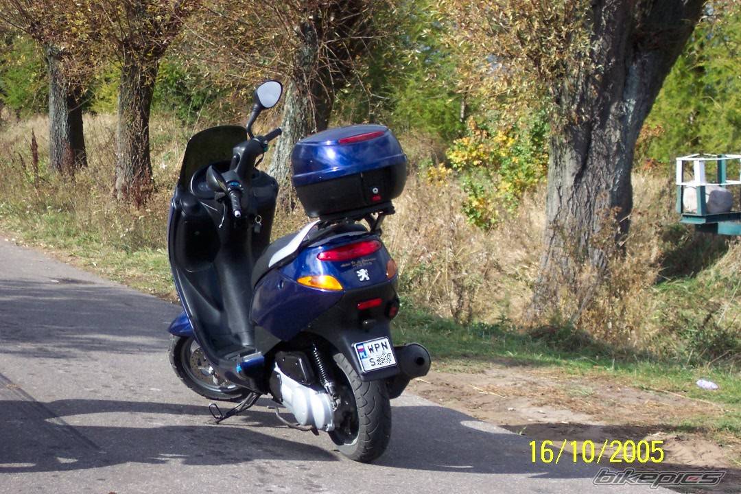 Photo 503832