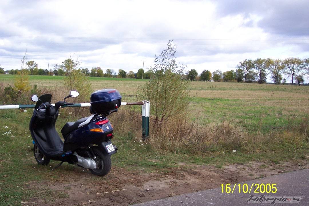 Photo 503834