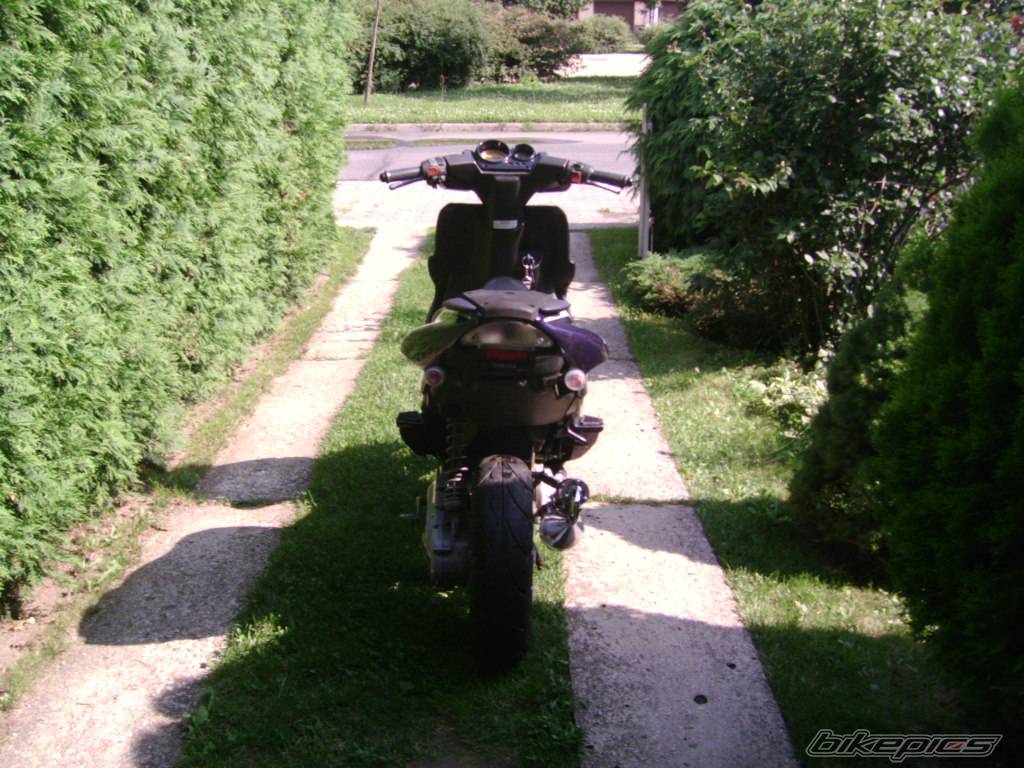 Photo 503911