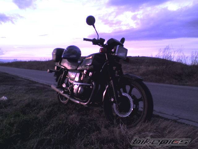 Photo 503965