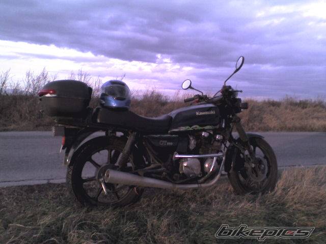 Photo 503968