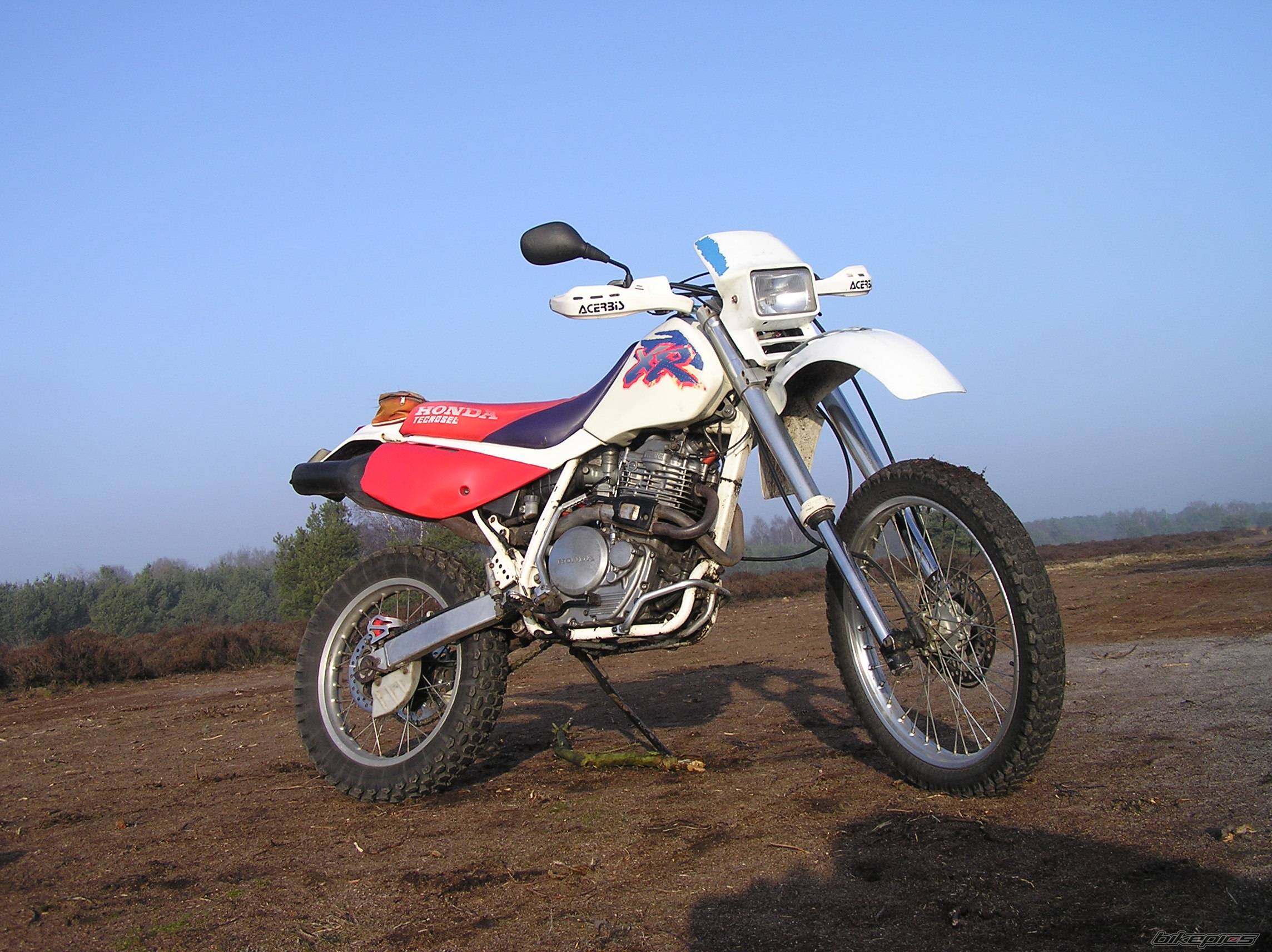 Bike Photo 503974