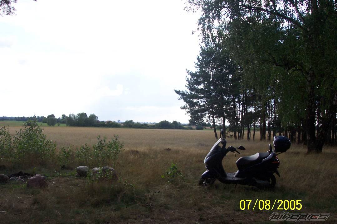 Photo 504155