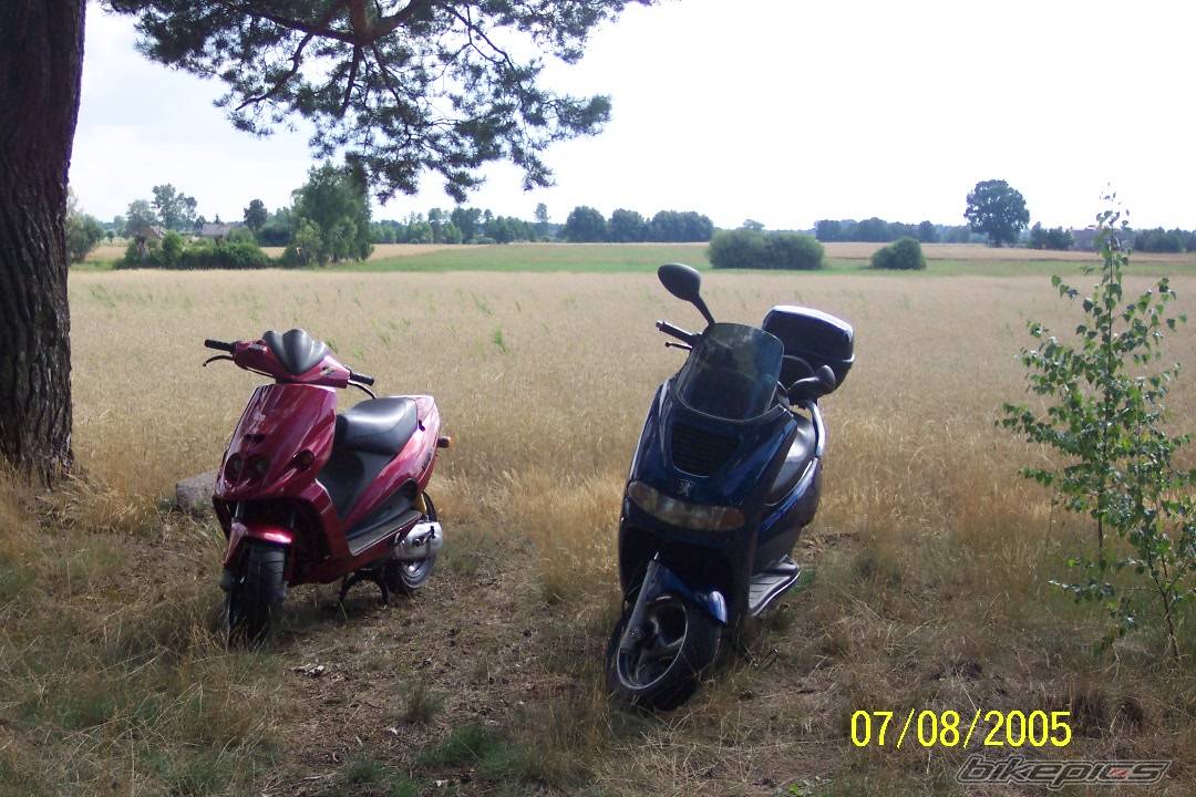 Photo 504158
