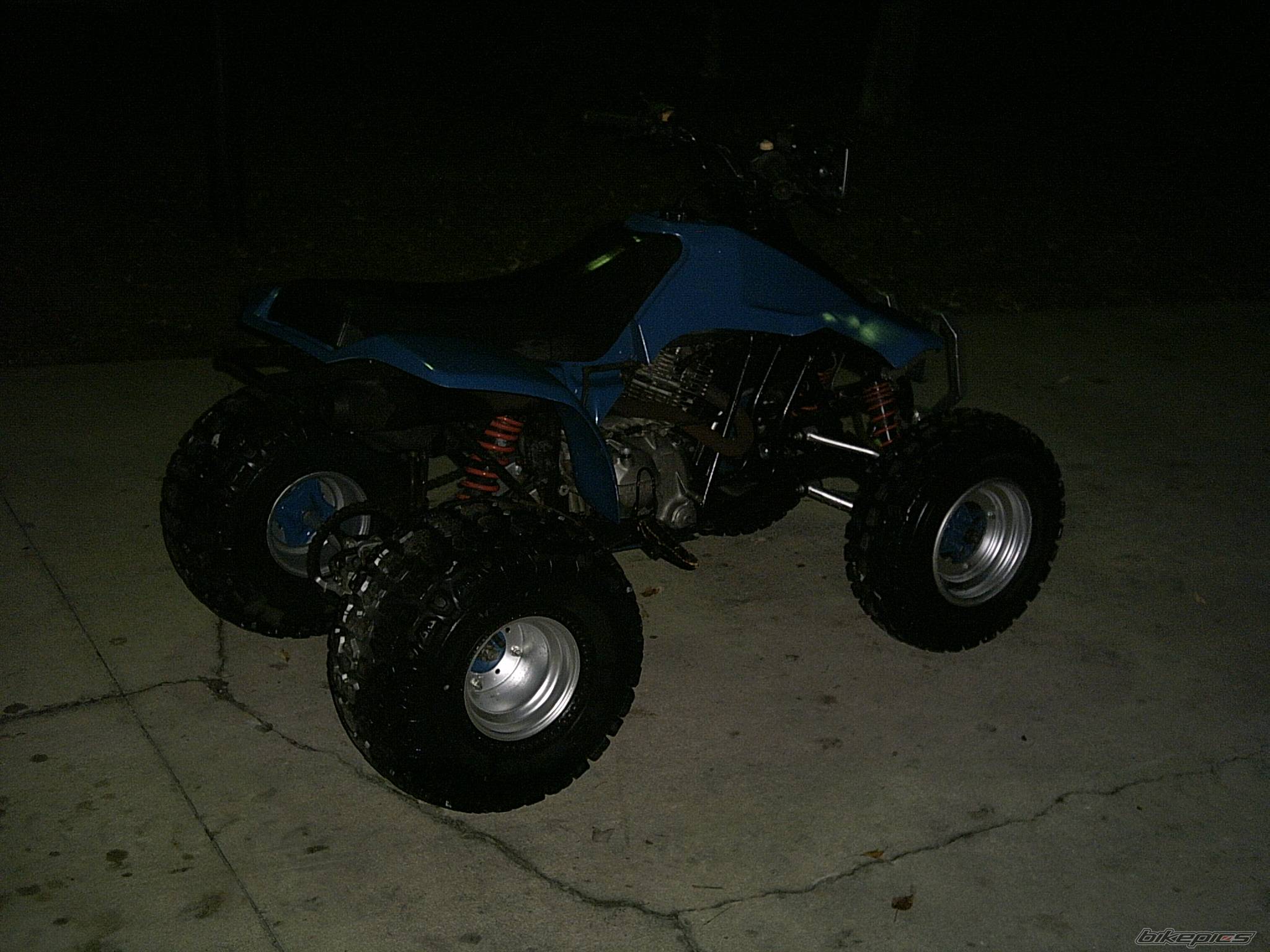 Photo 504252
