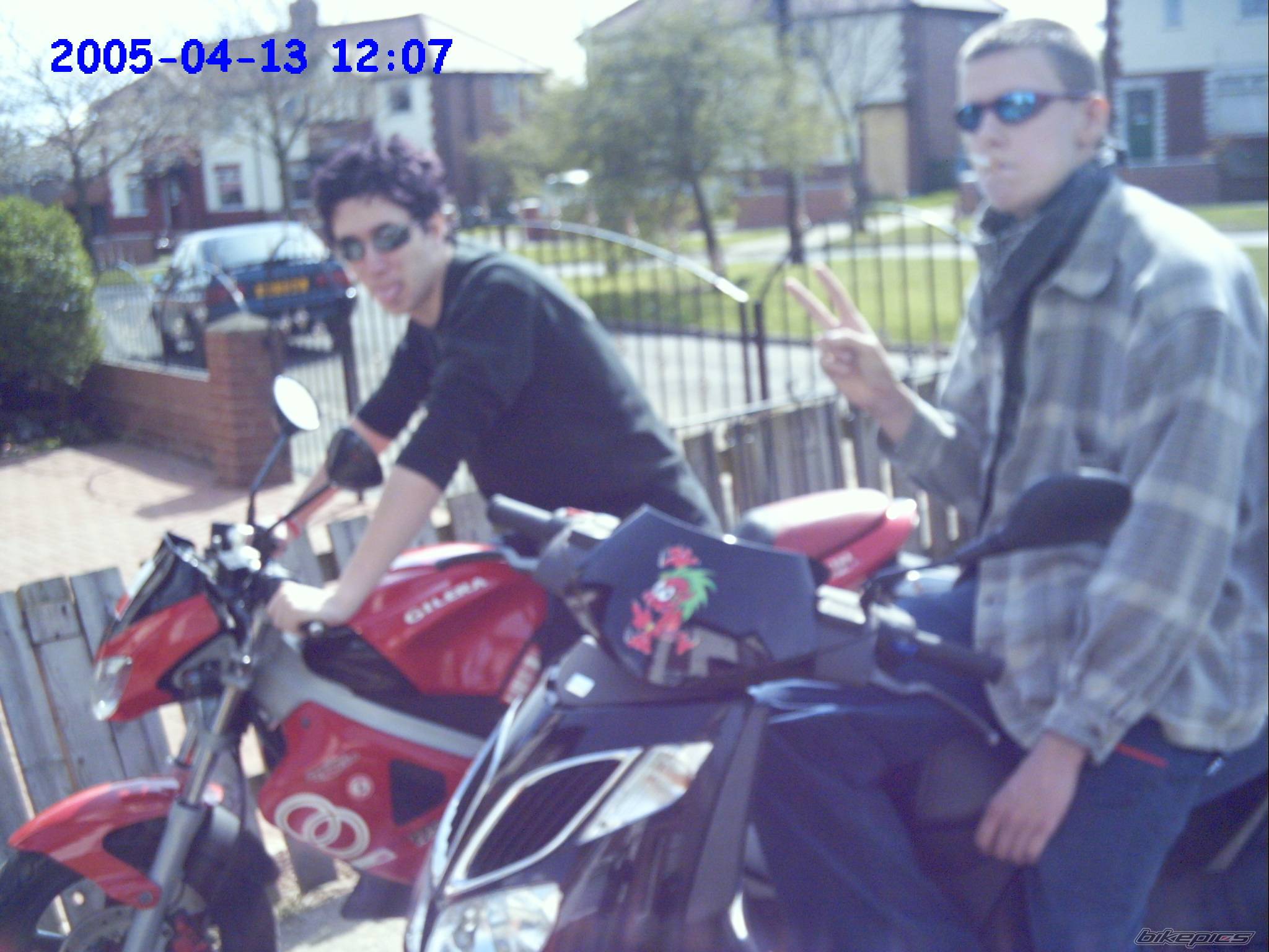 Photo 504394