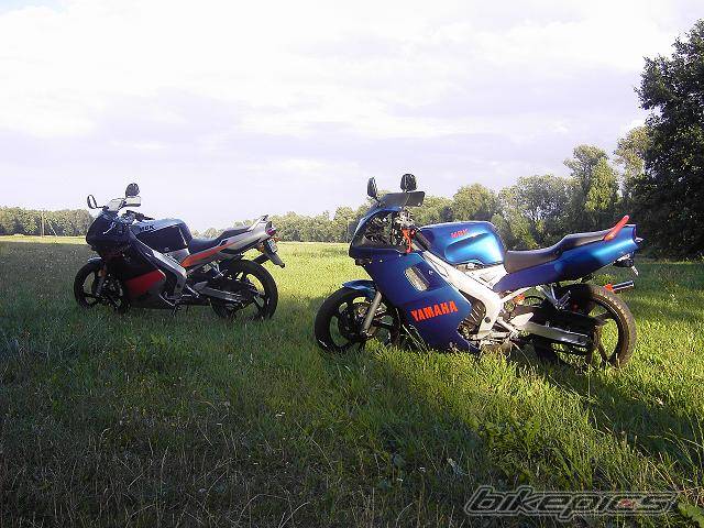 Photo 504709