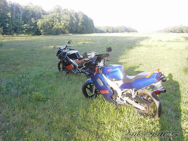 Photo 504710