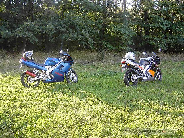 Photo 504711