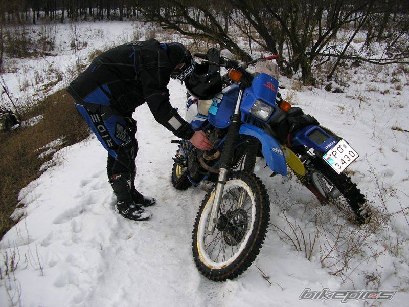 Bike Photo 505301
