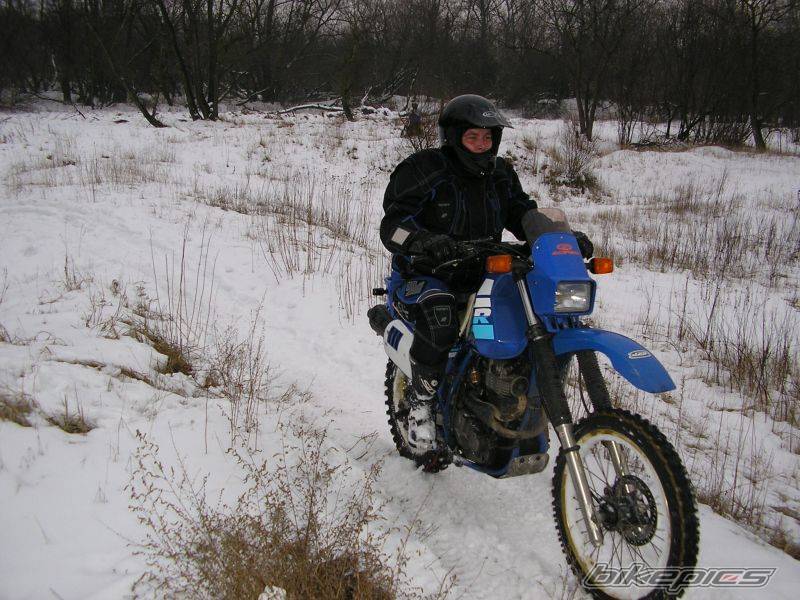 Bike Photo 505304