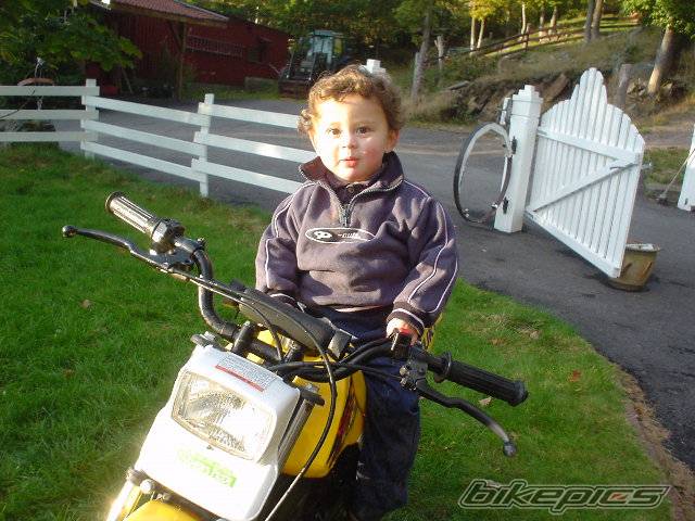 Photo 505463