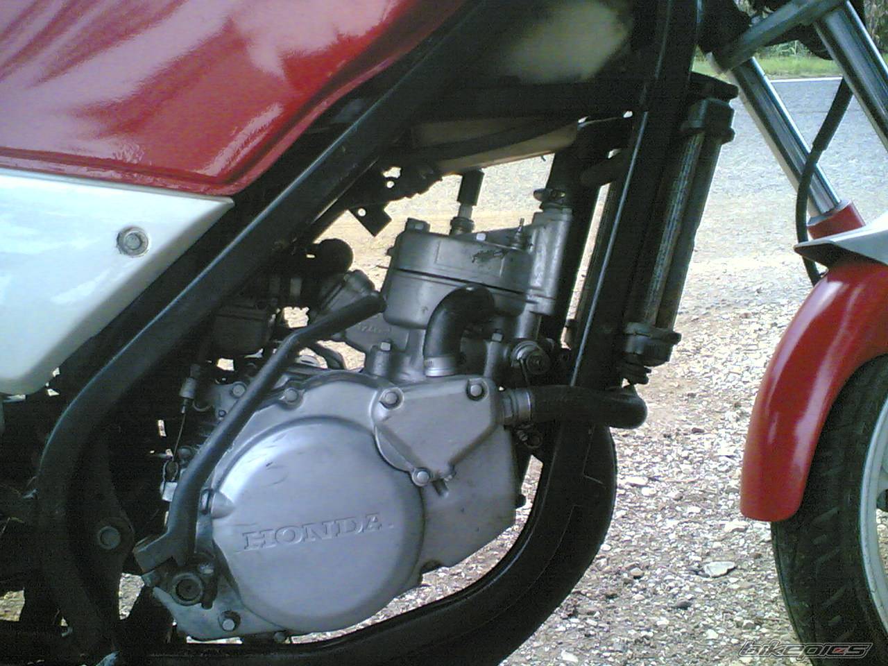 Bike Photo 505464