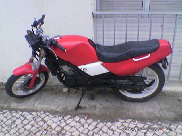 Bike Photo 505466
