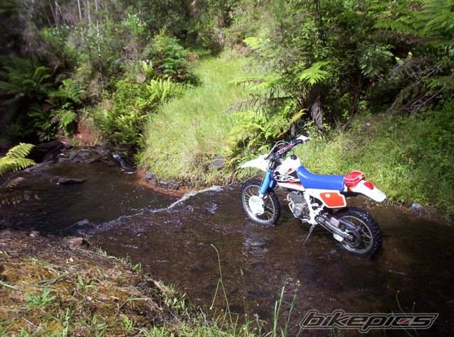 Bike Photo 505624