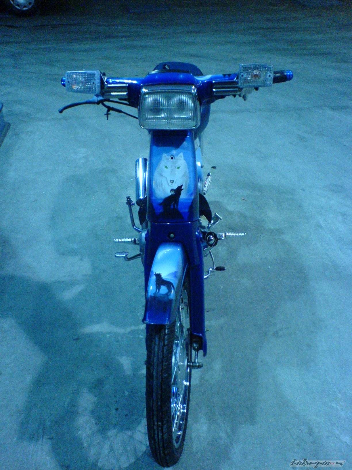 Photo 505697