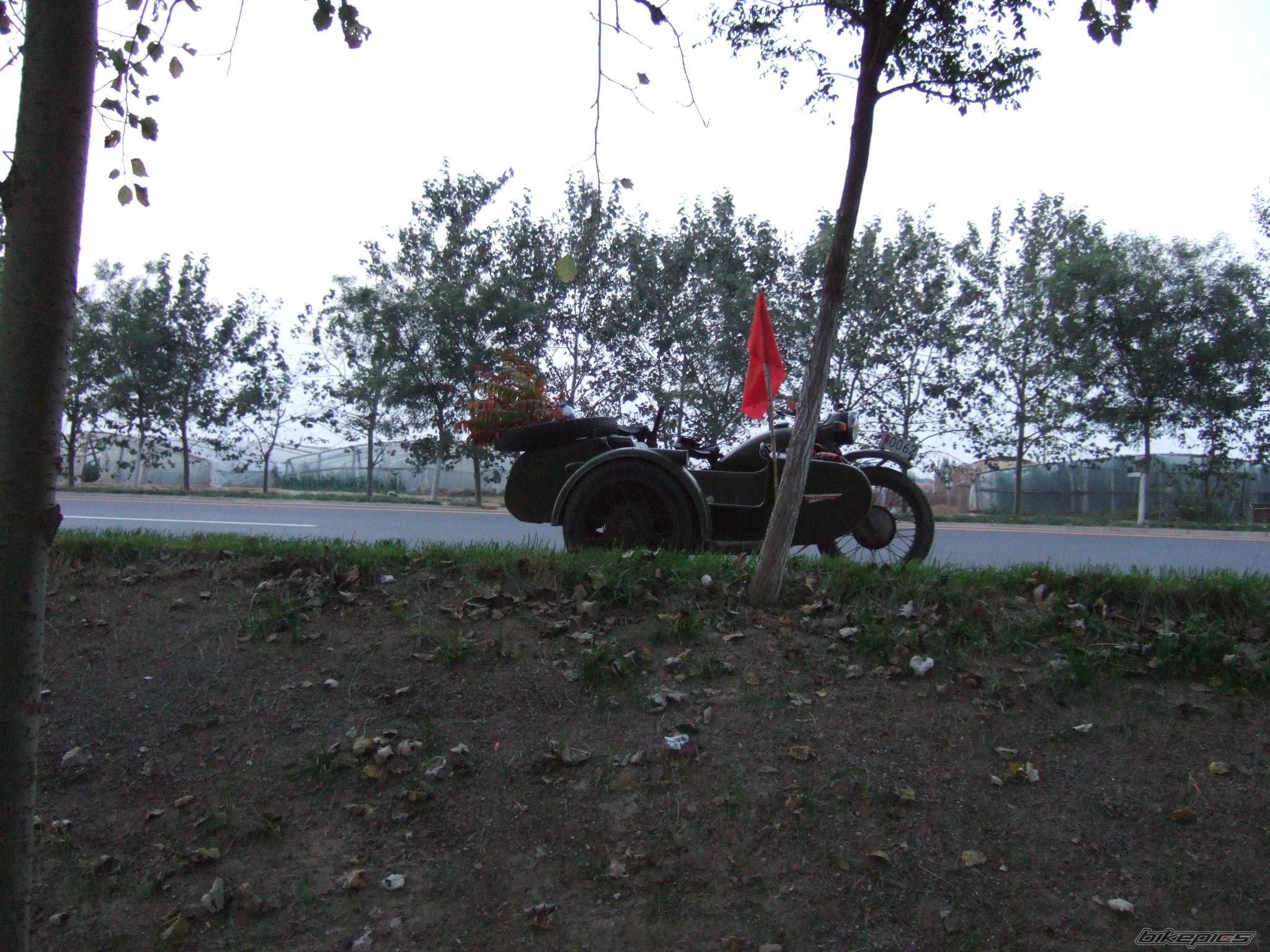Photo 505738