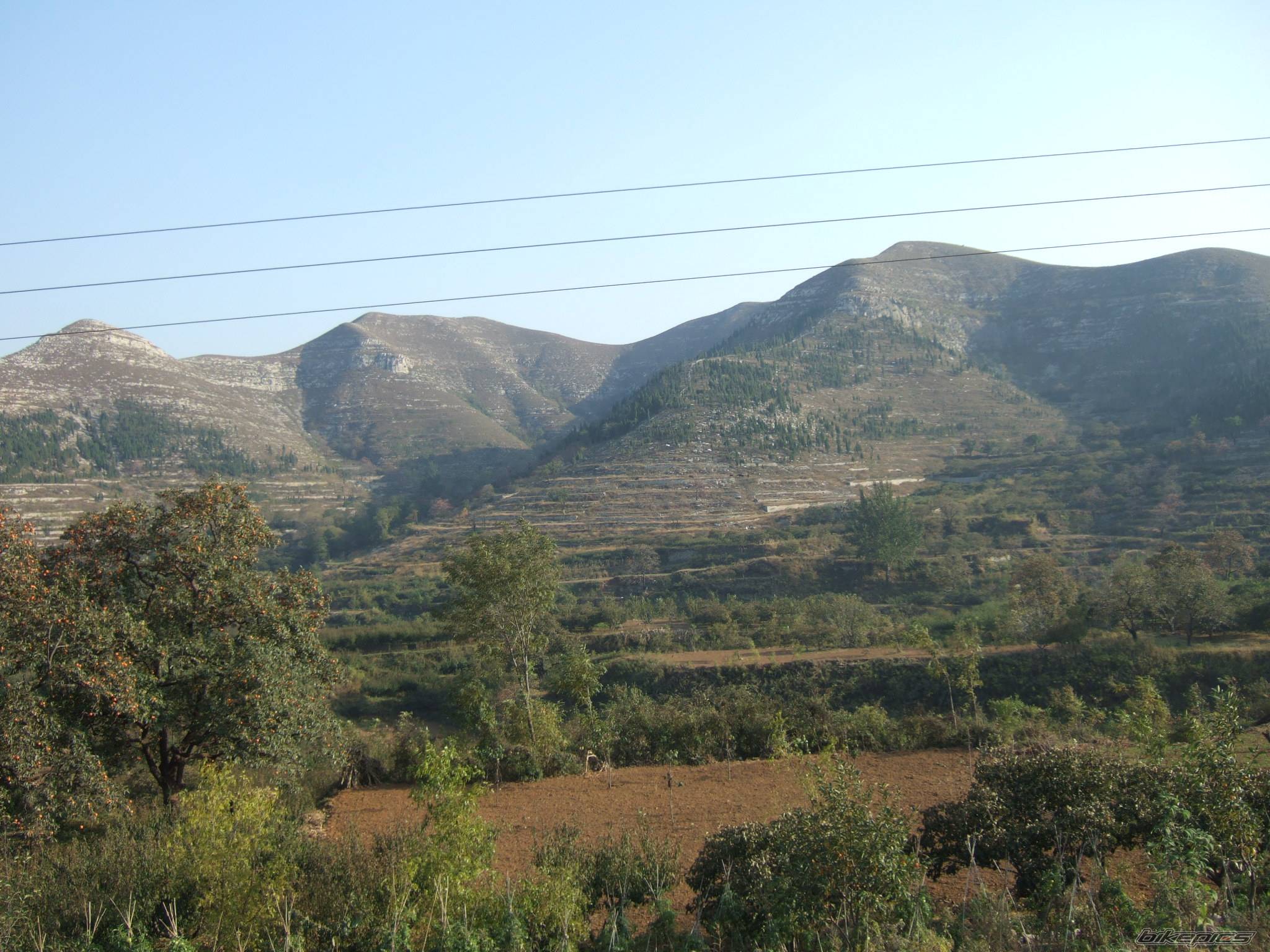 Photo 505746