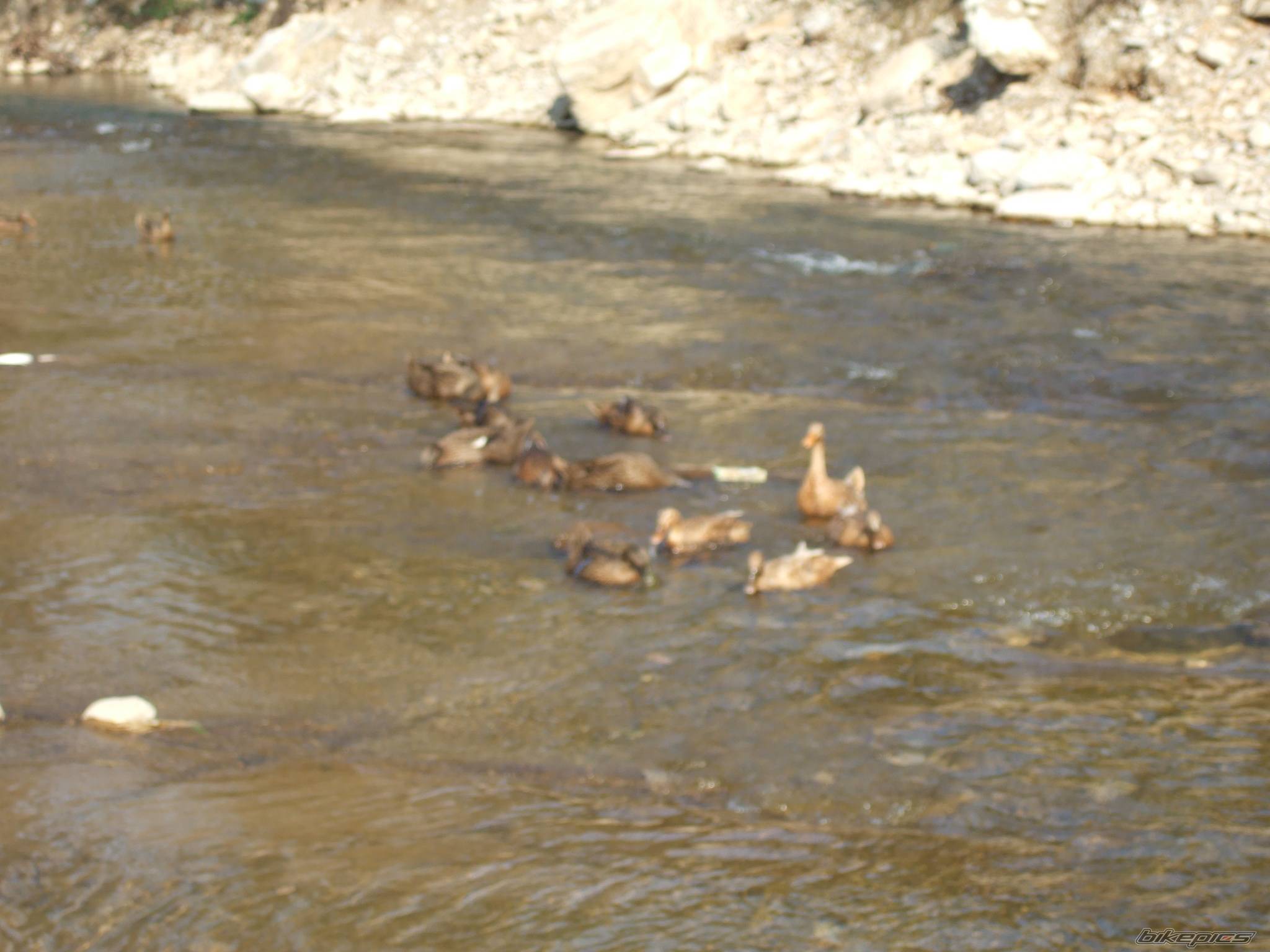 Photo 505760