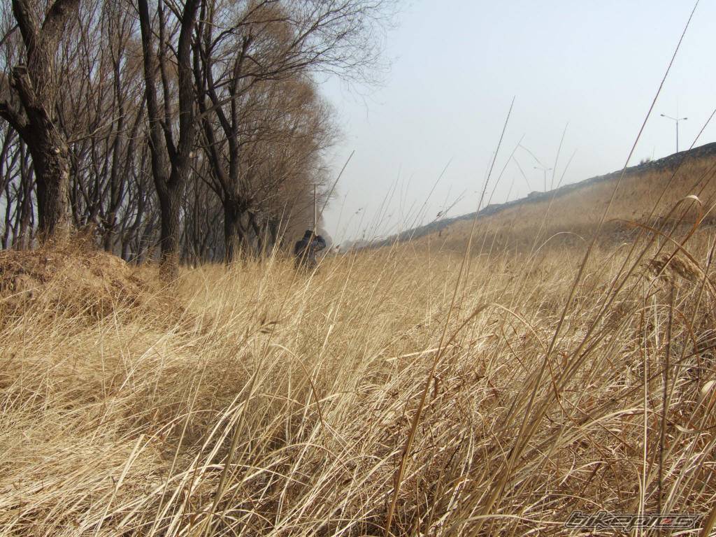 Photo 505781