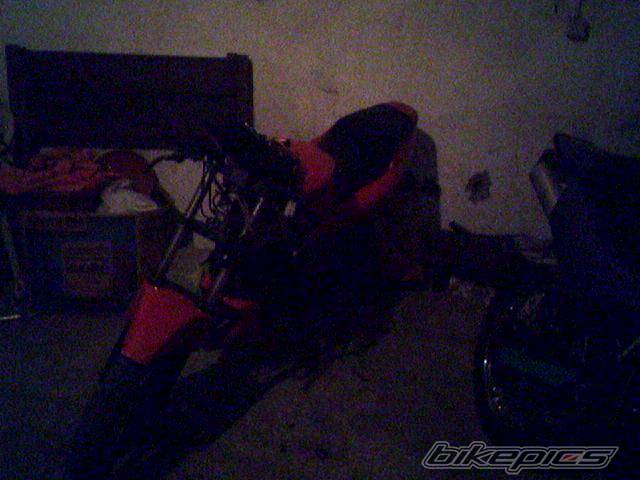 Photo 505886