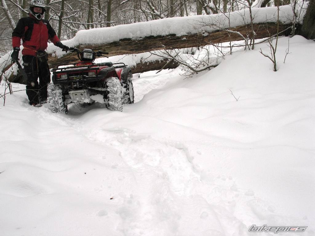 Bike Photo 505954