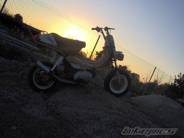 Photo 505974