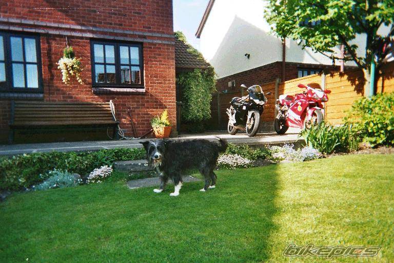 Bike Photo 50606
