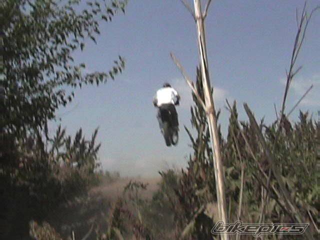 Photo 50651