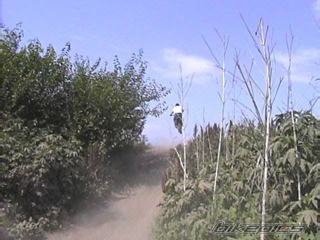 Photo 50655