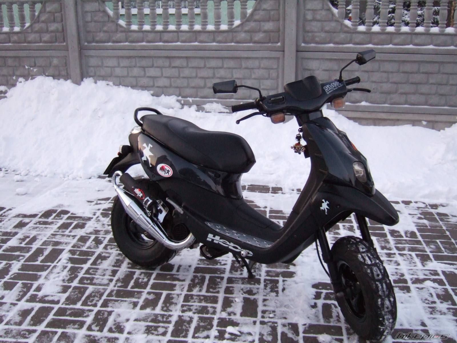 Photo 506631