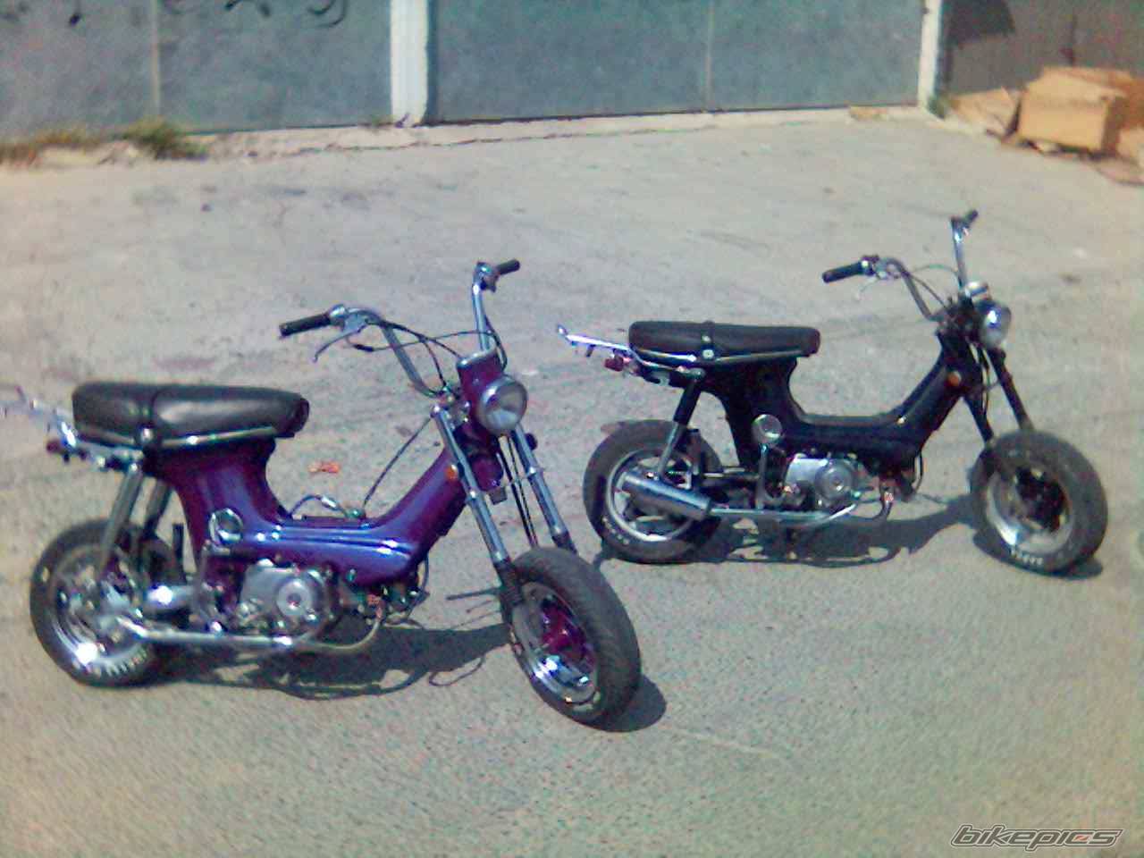 Photo 506857