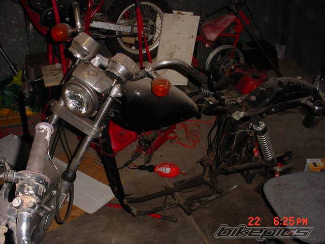 Photo 507214