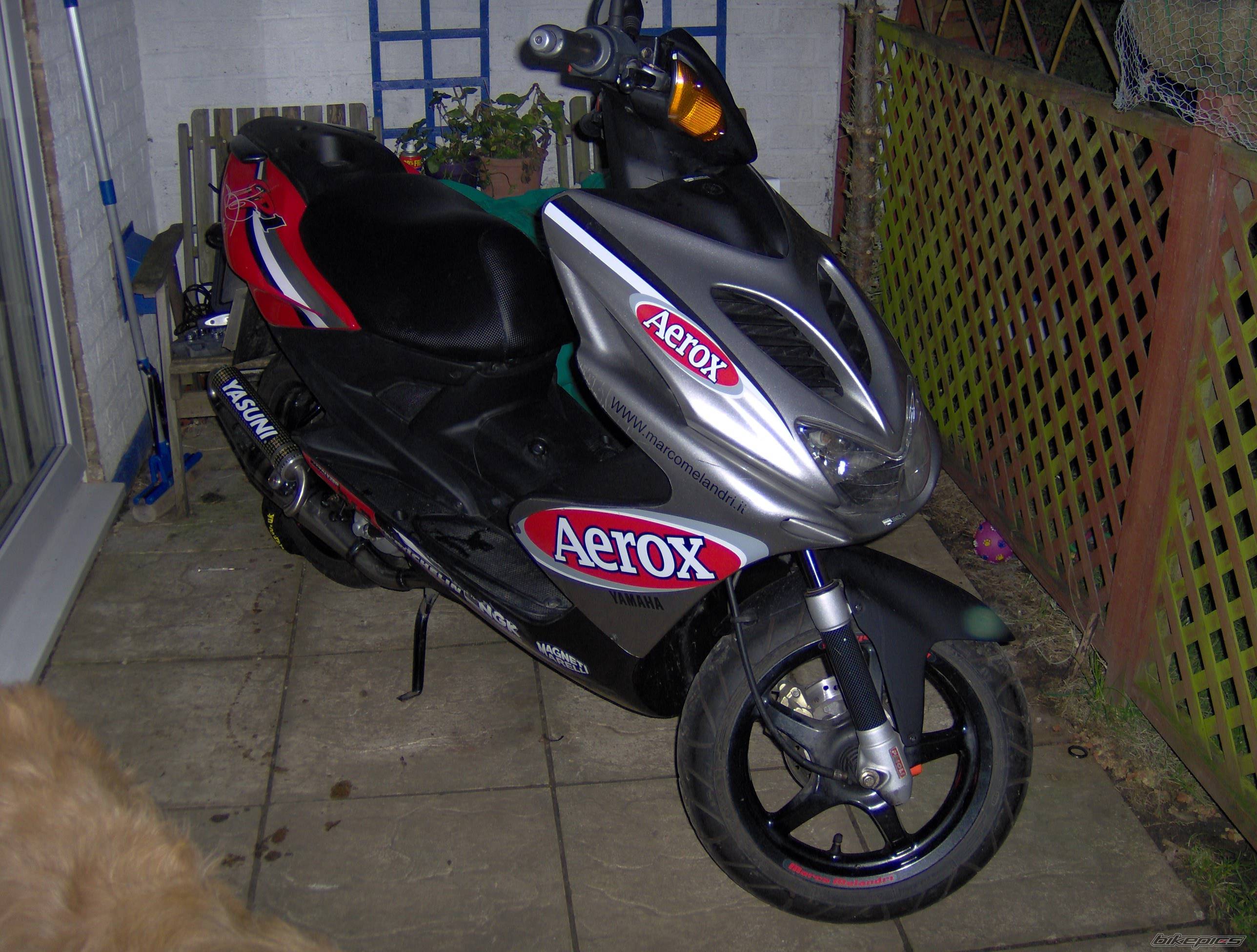 Photo 507342