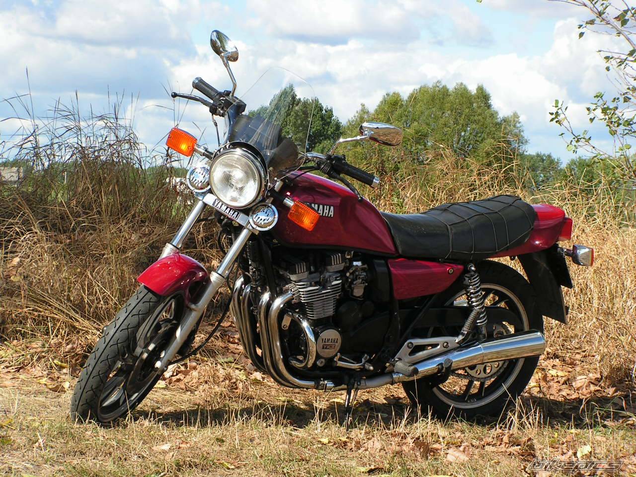 Bike Photo 507678