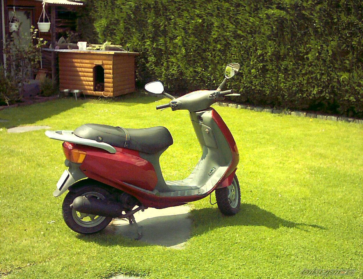 Bike Photo 50803