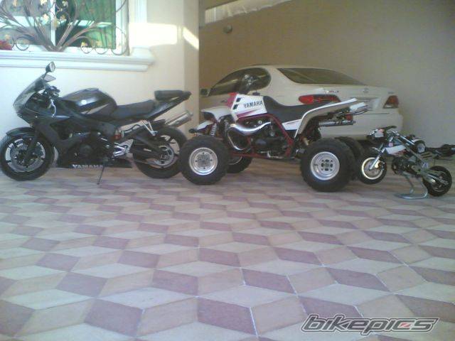 Photo 508894