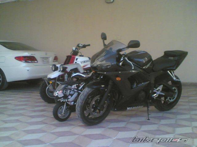 Photo 508897
