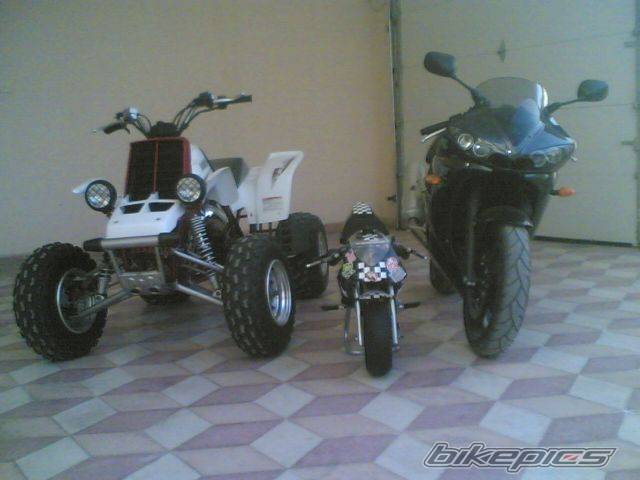 Photo 509094
