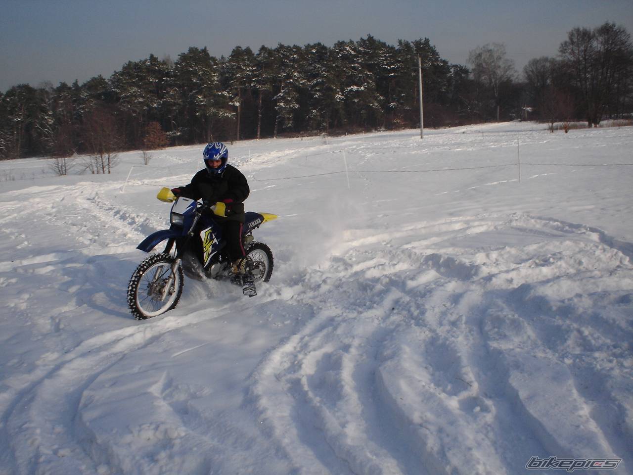Bike Photo 509301
