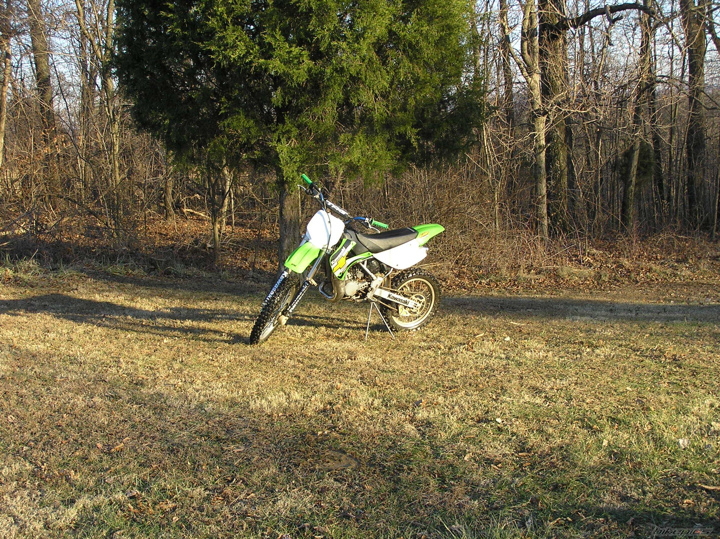 Photo 509340