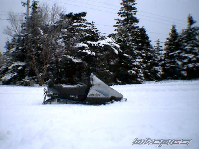 Bike Photo 509391