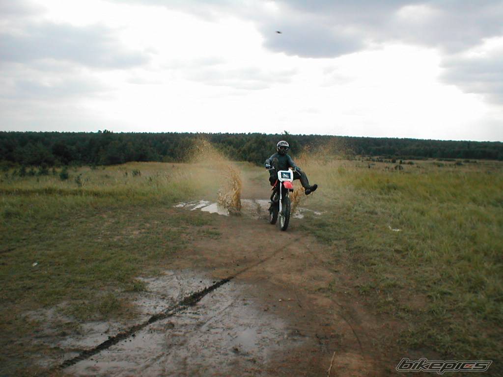 Photo 509489