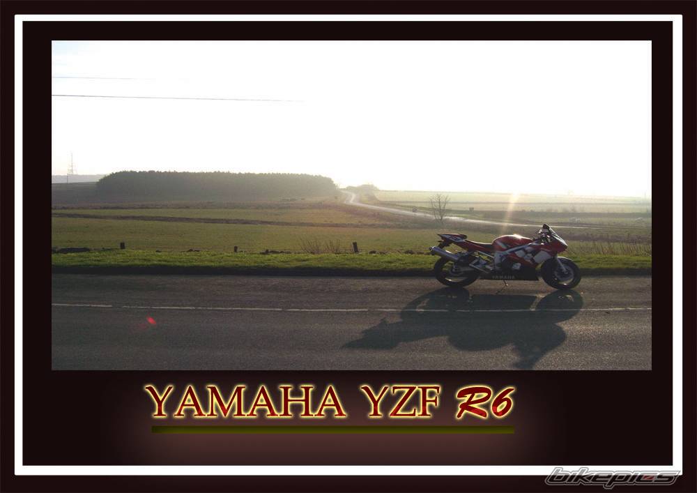 Bike Photo 509773