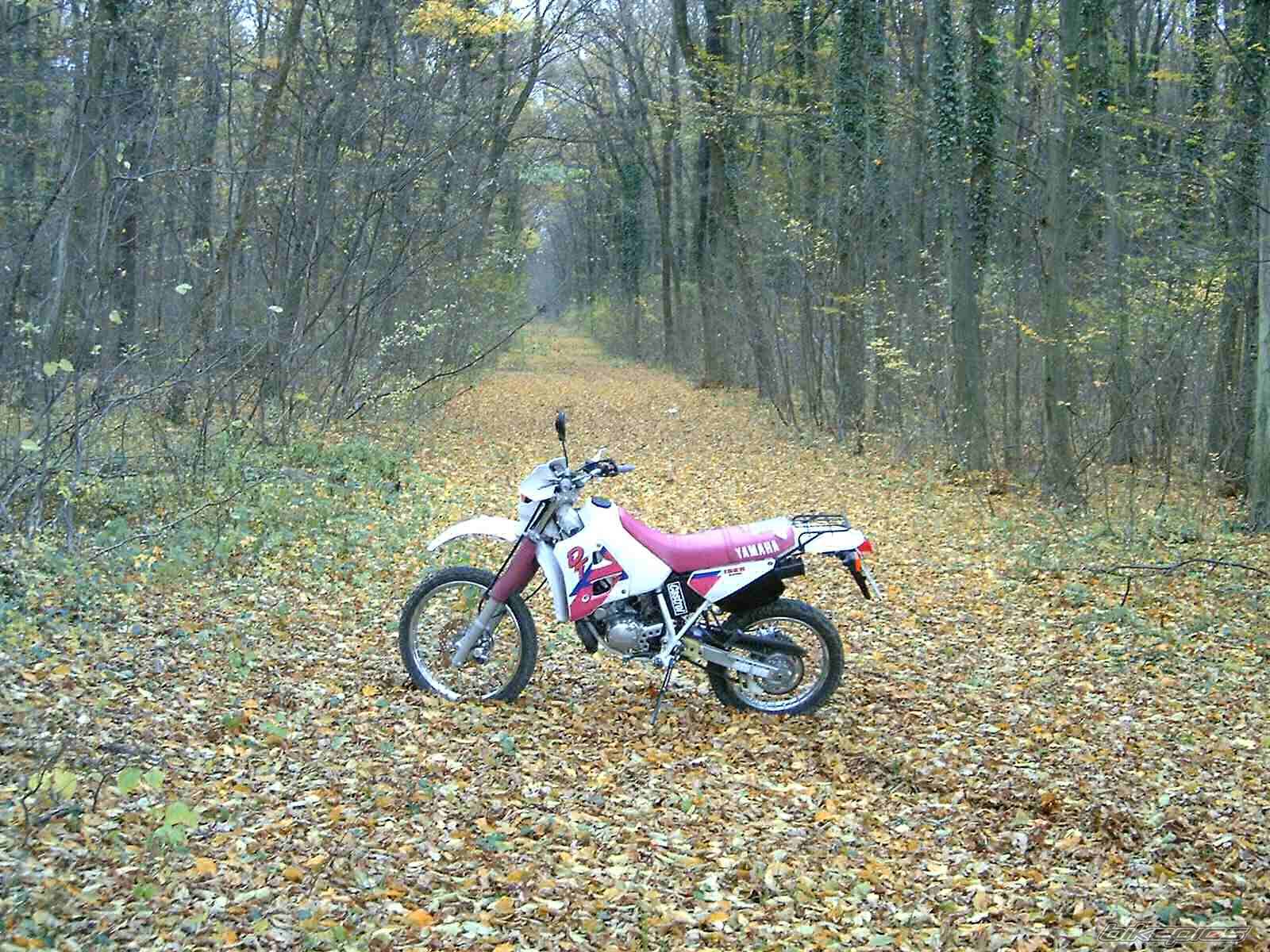 Bike Photo 509817