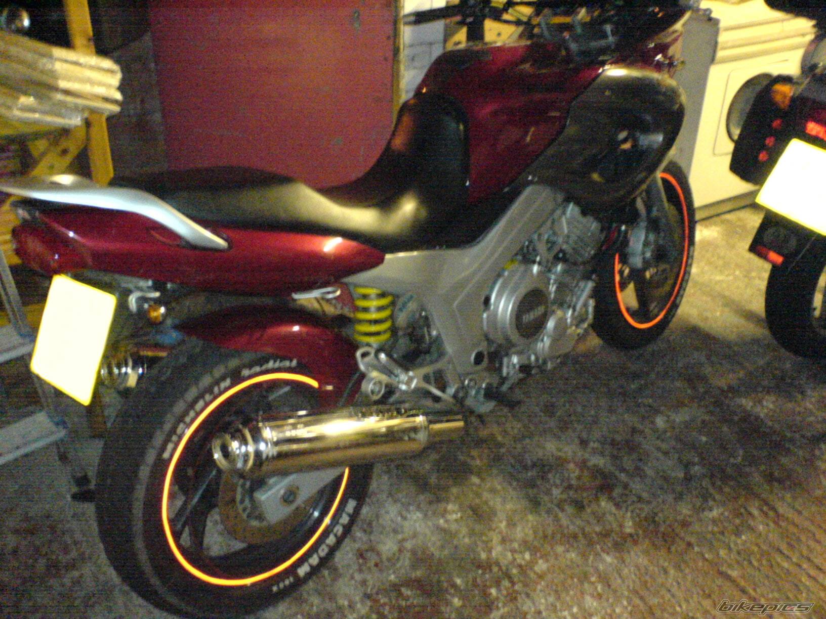 Photo 509965