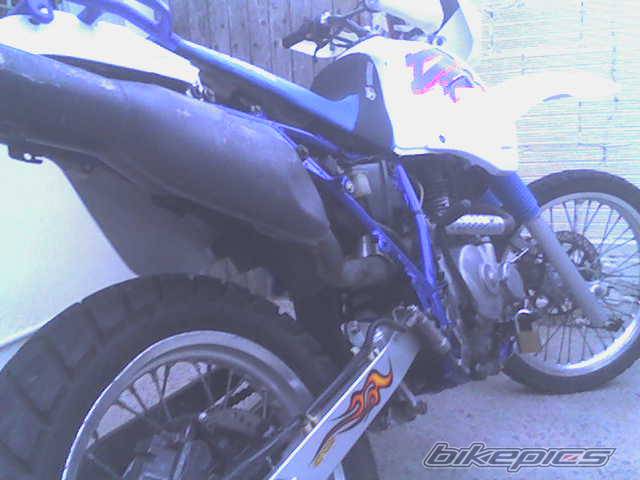 Photo 510091