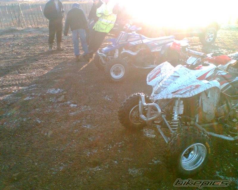 Photo 510338