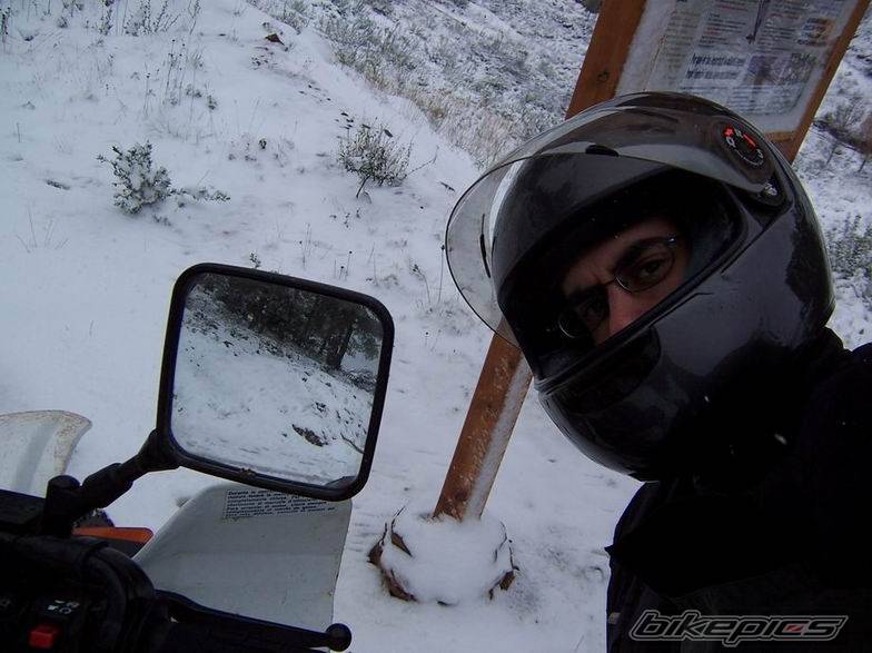 Bike Photo 510433