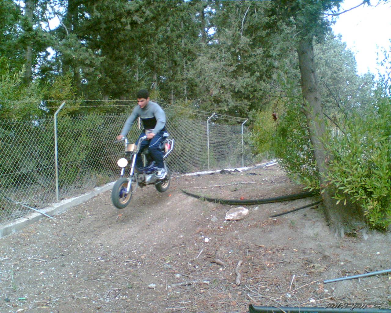 Photo 510482